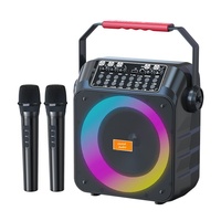 Enceinte Karaoké Extérieure 5.1 avec Double Microphone, Boîtier en Plastique Compact, Portable, Haute Puissance, Éclairage, Alimentation par Batterie, pour la Maison