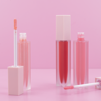 Personnalisez Votre Propre Logo, Gloss à Lèvres de Luxe Marque Privée, Rouge à Lèvres Mat Végétalien Imperméable et Longue Durée