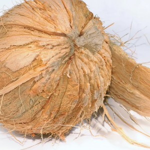 Exportation de fibre de coco blanche brune naturelle de fibre de coco de haute qualité du Vietnam - Product Image 1