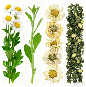 Machine de séchage de plateau de qualité supérieure déshydrateur alimentaire industriel convection à <span class=keywords><strong>air</strong></span> forcé Thermostat précis pour herbes feuilles fleurs - Product Image 2
