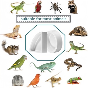 Cuencos Modernos de Cerámica Sólida Estériles para Lagartos, Escondite/Cueva que Evita la Fuga de Alimentos Vivos y Gusanos de la Harina, Protegiendo a los Reptiles y Respetando el Medio Ambiente - Product Image 6