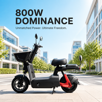 Trottinette électrique haute performance 200 kg, moteur 800 W, batterie lithium 48 V 24 Ah, autonomie 50 km, freins à tambour avant et arrière, trottinette électrique pour trajets urbains