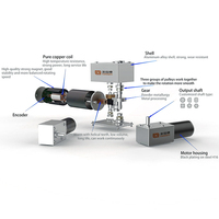 Moteur à engrenages sans balais CC 12V 24V Faradayisé avec réducteur à vis sans fin autobloquant pour serrure intelligente et fenêtre