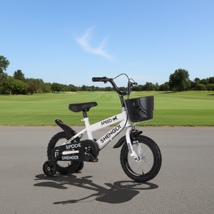 <span class=keywords><strong>Vélo</strong></span> pour enfants en livraison directe, 12/<span class=keywords><strong>14</strong></span>/16 <span class=keywords><strong>pouces</strong></span>, pour garçons et filles, avec frein à disque, roues d'apprentissage en alliage d'aluminium, pédales, à partir de 3 ans - Product Image 2
