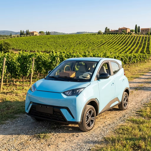 Vehículo Eléctrico <span class=keywords><strong>de</strong></span> Cuatro Ruedas <span class=keywords><strong>de</strong></span> Alta Gama Hecho en China, Mini Auto Eléctrico <span class=keywords><strong>de</strong></span> 60V, 4 Puertas y 5 Asientos, Multifuncional para Desplazamientos - Product Image 1