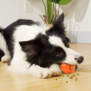Juguete Dispensador de Golosinas para <span class=keywords><strong>Perros</strong></span> 2026, <span class=keywords><strong>Pelota</strong></span> de Goma con Púas para Masticar, <span class=keywords><strong>Pelota</strong></span> de Alimentación Lenta, <span class=keywords><strong>Pelota</strong></span> de Rompecabezas para Limpiar los <span class=keywords><strong>Dientes</strong></span>, <span class=keywords><strong>Pelota</strong></span> Interactiva para <span class=keywords><strong>Perros</strong></span> - Product Image 5