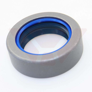 Gioăng dầu moay-ơ bánh xe Rwdr <span class=keywords><strong>Cassette</strong></span> Giá xuất xưởng 85824343 Loại Rwdr <span class=keywords><strong>Cassette</strong></span> 30*44*14 - Product Image 1