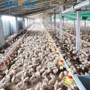 Direto da fábrica New Plastic Chicken Mamilo Bebedor Automático Pendurado Aves Beber Copo de Água para Bebedores Farm Core Animal - Product Image 6