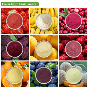 Di alta Qualità Biologico UE Liofilizzato Succo di Frutta In Polvere - Product Image 2