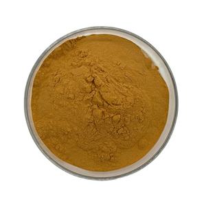 Toptan doğal ekinezya özü fabrika doğrudan toplu ekinezya <span class=keywords><strong>Purpurea</strong></span> özü - Product Image 1