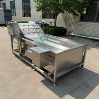 Volledig automatische fruit- en groentewasmachine met hogedruksproeier voor het reinigen van druiven