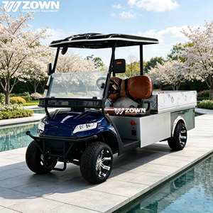 Heavy Duty Utility Golf Cart 2 Passenger Electric Work Cart With Stainless Steel Cargo Box CE Certified For Resort Farm - Product Image 1