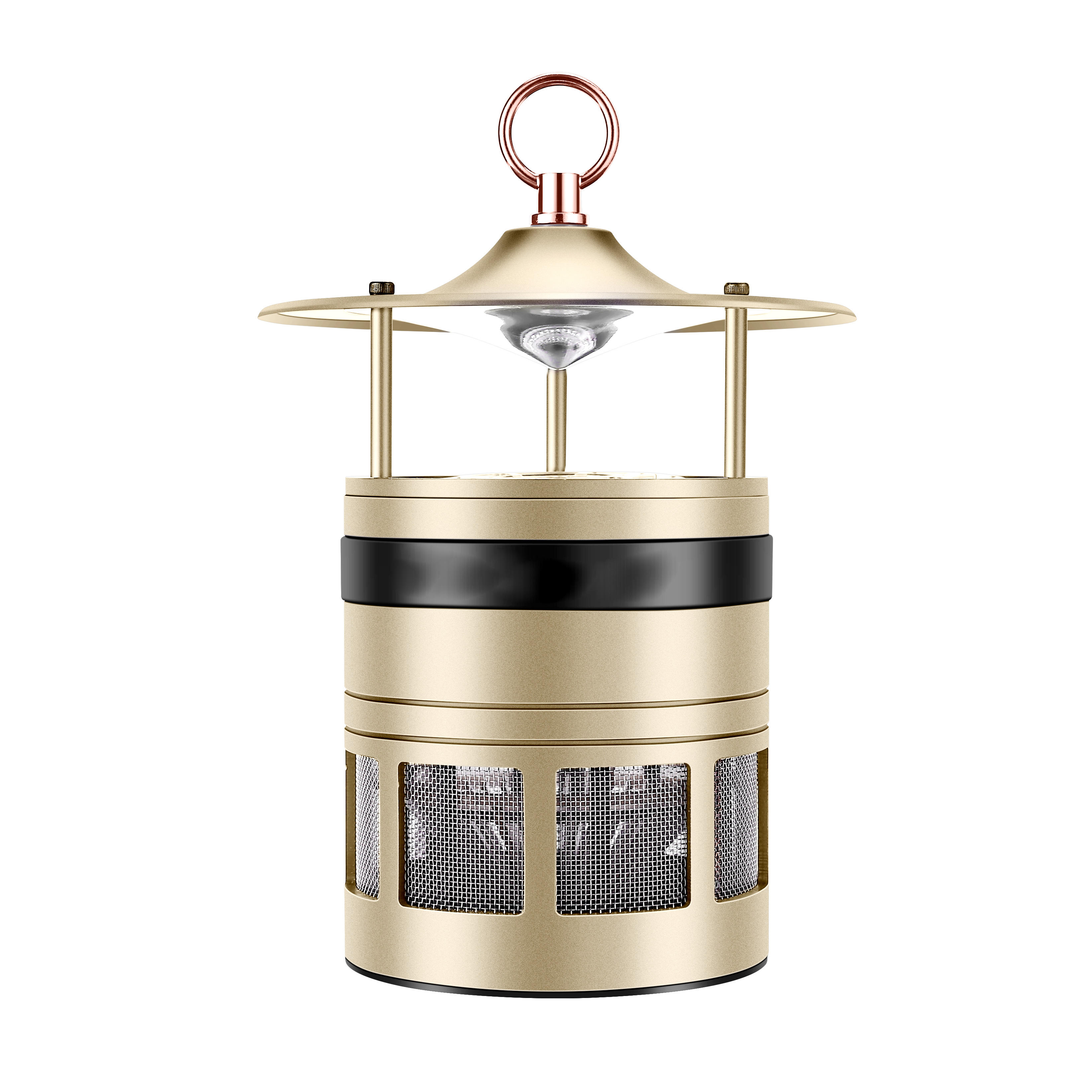 Intérieur or + noir