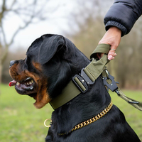 Collier de chien tactique durable en nylon de qualité supérieure, personnalisé, avec anneau en D en acier inoxydable, doublure en néoprène et patchs personnalisés, vente en gros