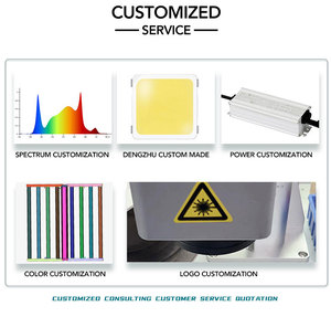 Lámpara de <span class=keywords><strong>Cultivo</strong></span> <span class=keywords><strong>LED</strong></span> de Espectro Completo para Interiores de 720W-PPE2.5/2.7, 4FT, Precio de Fábrica, Certificación CE, ULCA e ISO, Diseño Todo en Uno, 4x4 - Product Image 5