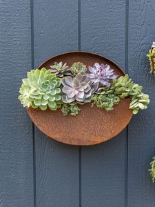 Producto estrella: Jardinera colgante de acero Corten ecológica para exteriores, hogar y jardín con panel de pantalla de privacidad, venta al por mayor - Product Image 5