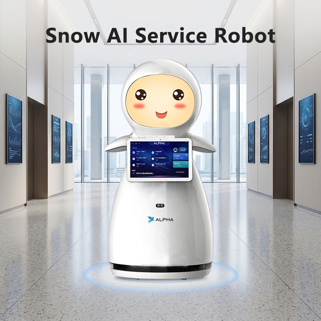 Snow Reception Robot