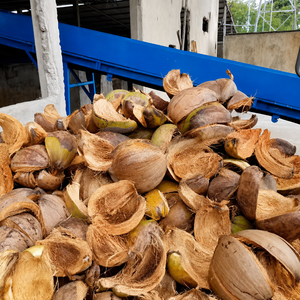 Máquina Separadora de Fibra de Cáscara de Coco, Equipo para Remover Fibra de Coco, Máquina de Extracción de Fibra de Coco - Product Image 3