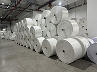 Fabricant chinois de sac de ciment de sable de gravier blanc 25kg 50kg sacs d'agriculture tissés en PP de haute qualité