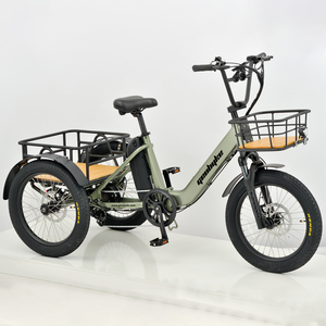 Nhà Máy Giá Heavy-Duty Mang Phía Sau Chất Béo Lốp Ba Bánh Xe Xe Đạp Điện Dành Cho Người Lớn Ba Bánh Điện Với 7-Tốc Độ Derailleur - Product Image 2