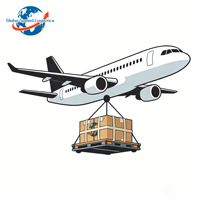 Agente Professionale per Consegna Espressa, Spedizione Aerea Porta a Porta verso il Regno Unito, DDP UPS EXW, Logistica E-commerce, Sdoganamento