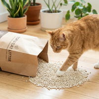 Litière pour chat au tofu durable |   Agglomération rapide, ultra absorbant et soluble dans l'eau |   Granulés gris de qualité supérieure, marque privée OEM