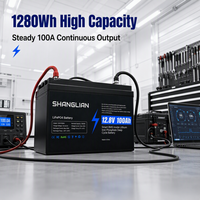 Batterie LiFePO4 12V 100Ah pour stockage d'énergie domestique, panneau solaire, cycle profond 1280Wh, BMS intelligent, phosphate de fer lithium pour systèmes hors réseau