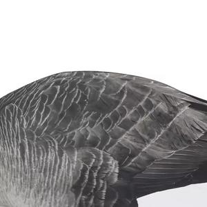 Silhouettes Floquées <span class=keywords><strong>de</strong></span> Canards Canadiens pour Gibier, Vente en Gros - Product Image 6