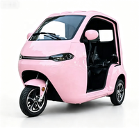 Tricycle Électrique à Cabine Ouverte 3 Roues à Prix Abordable, 3 Places, 45 km/h pour la Ville, Deuxième Voiture Familiale