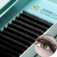 Haute qualité J B C D 0.15 .20 .25 classique plat cils individuels marque privée personnalisé 12 16 lignes plateau pointe fendue ellipse plat cils