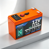 Pack de batteries LiFePO4 12V, plusieurs couleurs de coque au choix, rechargeable, cycle profond, pour le camping et les situations d'urgence