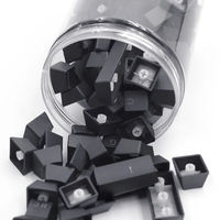 Akko OEM ODM arabe Keycaps ISO ES allemand Keycaps russe personnalisé Keycaps Double Shot Dye-sub PBT SA Cherry Profile