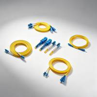 Câble de raccordement en fibre optique monomode SC Simplex UPC SM 2,0 mm 3,0 mm FTTH