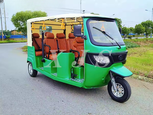 EEC COC tre ruote risciò elettrico per moto da turismo elettrico Tuk Tuk - Product Image 4
