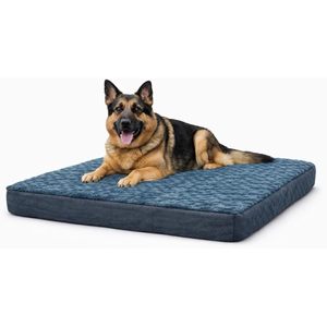 Pawfect Bedding Company Orthopedic <b>Dog</b> <b>Bed</b> XX Large Gray Plush <b>Cover</b> Removable Washable Supportive High Density Foam Rectangle - Product Image 1