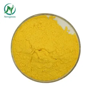 Hot Sale Food Grade Pumpkin Powder with Good Quality