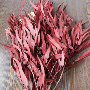 Hojas de Eucalipto y Sauce con Semillas Conservadas para Decoración de Interiores en el Hogar y la Oficina; Plantas Decorativas de Hoja de Mijo para Fiestas - Product Image 4