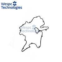 Joint de couvercle de culasse Wespc 11196401 de haute qualité pour moteur diesel multicylindre de tracteur, joint de couvercle de soupape 1500-1800 tr/min 18-24 kW
