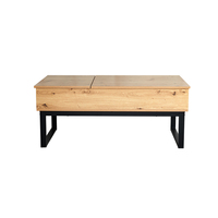 Table basse moderne en plastique avec plateau relevable, rangement dissimulé, étagère réglable, meubles de salon