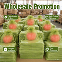 Groene fruitbeschermingszakken Herbruikbare plantenbeschermingshoes voor sinaasappels, appels, druiven, ongedierte, vogels, zon, regenbescherming, tuin, boomgaard