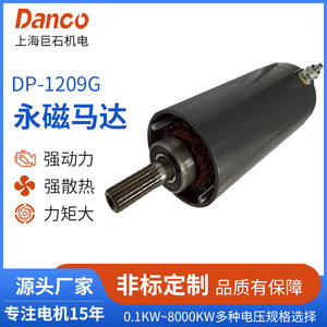 Dp 1209g Permanent Magnet Dc Brushed Motor For Atv <b>Utv</b> Winch Application - Product Image 5