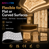 Panneau lumineux LED flexible, panneau mural rétroéclairé, diffuseur LED, plaque de quartz pour comptoir, verre teinté rétroéclairé, boîte à lumière 24V