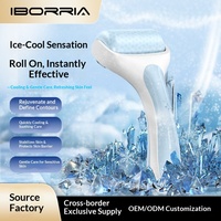 Appareil de massage facial à rouleaux de glace silencieux PE, modèle R1 transfrontalier de Shenzhen, pour compresses froides