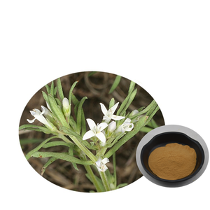 Nhà Sản Xuất <span class=keywords><strong>Hedyotis</strong></span> Diffusa Willd Chiết Xuất/Oldenlandia Diffusa Chiết Xuất 10:1 - Product Image 5