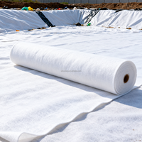 Géotextile non tissé aiguilleté en PP, écologique, haute résistance, longueur de rouleau personnalisée, usage industriel pour drainage et stabilisation des sols