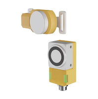 Interrupteur de sécurité pour porte avec indicateur LED, conception magnétique, 24VDC, usage industriel, pour éviter l'entrée accidentelle du personnel