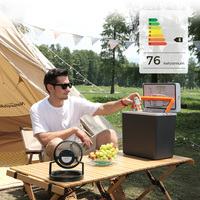 Nevera de coche para acampar al aire libre, Enfriador de hielo de 20 litros, caja calentadora, mesa, 12V, Semiconductor