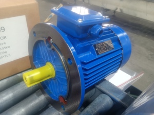 Motor de Inducción Trifásico Asíncrono YE3-100L1-4 de 2.2kw, 3HP, 1460rpm, Generador de Corriente Alterna de Baja Velocidad, Motor Eléctrico de 3 Fases - Product Image 3