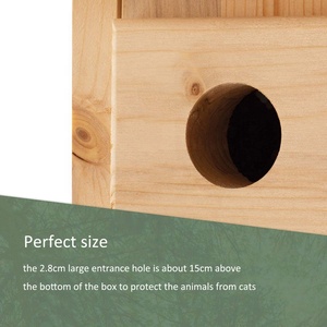 Nichoir en bois massif durable pour mésanges bleues - Product Image 4