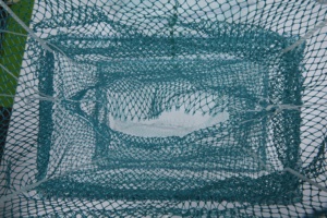 พับได้21x32x27(8ply) หางยาวรถไฟ fykes minnow กับดักกุ้งก้ามกรามกับดักกับดัก - Product Image 4